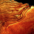 River Delta
