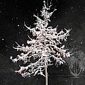 Snowy night 1