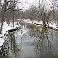 Whitemans Creek